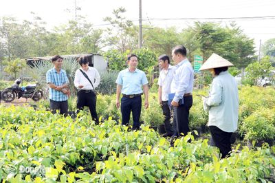 Phát huy vai trò “cánh tay nối dài” của Liên minh Hợp tác xã