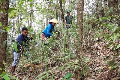 Giữ rừng từ ý thức cộng đồng