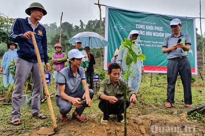 Trồng cây bản địa nơi đầu nguồn sông Gianh