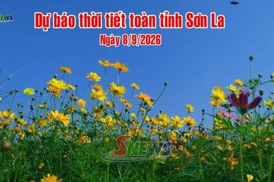 Dự báo thời tiết toàn tỉnh Sơn La ngày 8/9/2026