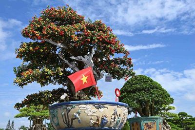 Quảng Ngãi: Khai mạc Triển lãm - Hội chợ Sinh vật cảnh mở rộng năm 2026
