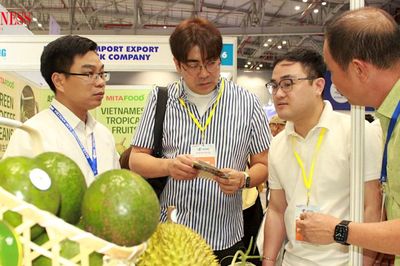 Nông sản Việt chạy nước rút, phải tạo thế xuất khẩu vững hơn
