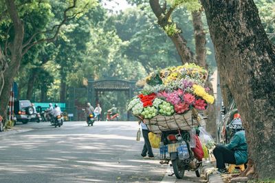 Hà Nội dịu mát, chuẩn bị đón không khí lạnh yếu đầu mùa