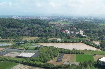 Quy hoạch sông Hồng: 265ha phục vụ tái định cư tại chỗ