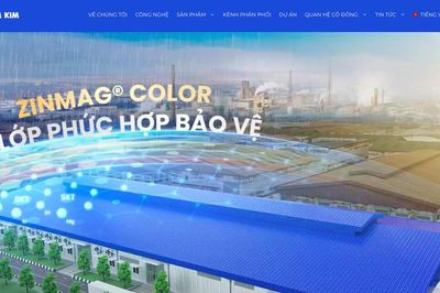 Phó Chủ tịch thường trực HĐQT Thép Nam Kim (NKG) xin từ nhiệm
