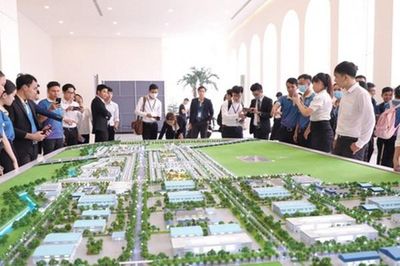 Môi giới bất động sản không có chứng chỉ hành nghề bị phạt đến 60 triệu đồng