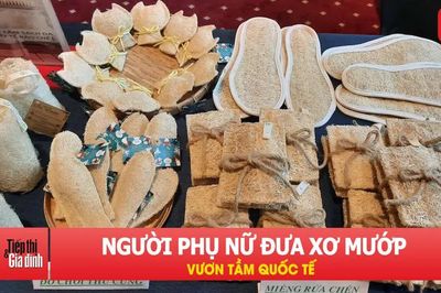 Xơ mướp Việt 'lên đời': Từ đồ chà nồi thành sản phẩm xuất khẩu