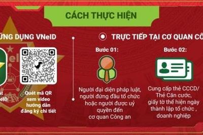 Định danh điện tử đối với các tổ chức, doanh nghiệp và hợp tác xã