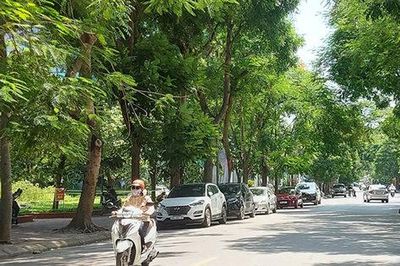 Bắc Bộ ngày nắng hanh, vùng núi có mưa dông rải rác
