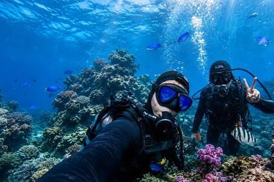 Biển nóng đe dọa những 'vườn san hô' ở đảo Jeju