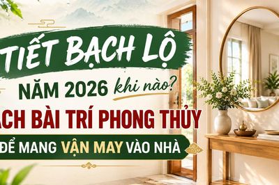 Cách bài trí không gian sống để đón cát khí, đưa vận may vào nhà trong tiết Bạch Lộ 2026