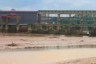 Làm rõ nguyên nhân hạ mực nước sông đột ngột khiến gần 10 tấn cá nuôi chết