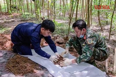 Quảng Trị liên tiếp phát hiện, quy tập hài cốt liệt sĩ