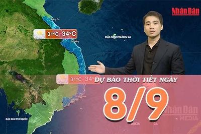 [Video] Dự báo thời tiết ngày 8/9/2026: Bắc Bộ tạnh ráo, Trung Bộ và Nam Bộ nhiều nơi mưa dông