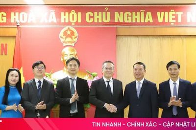 Hà Tĩnh mở rộng cơ hội kết nối, thu hút đầu tư từ Nhật Bản