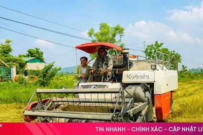 Chủ động mùa vụ, nâng giá trị hạt lúa Hà Tĩnh