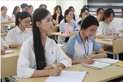 Từ tình yêu quê hương đến trách nhiệm của người trẻ