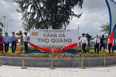 Đà Nẵng: Nghiên cứu chuyển đổi chức năng cảng cá Thọ Quang