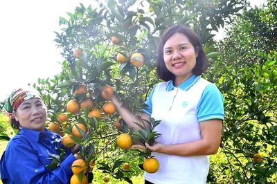 Khai thác chỉ dẫn địa lý mở rộng thị trường cho sản phẩm vùng miền của phụ nữ khởi nghiệp