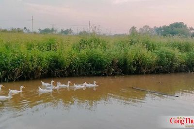 Vệ tinh 'soi' điểm nóng phát thải mê-tan trên đồng ruộng