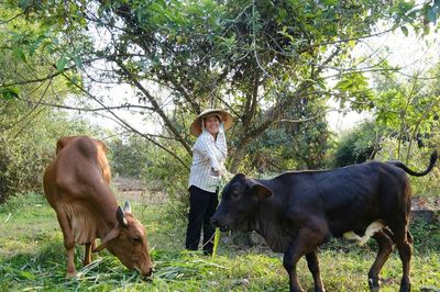 Trao vốn, dựng sinh kế