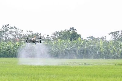 Hiệu quả việc sử dụng thiết bị bay không người lái sản xuất nông nghiệp
