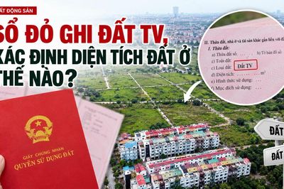 Sổ đỏ ghi đất TV, xác định diện tích đất ở thế nào?