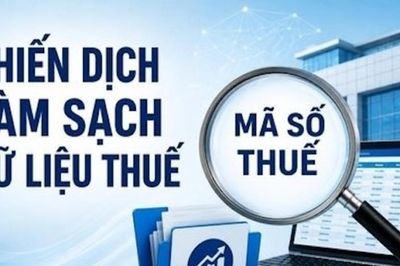 Cục Thuế cam kết đóng mã số thuế trong 3 ngày, đề xuất gỡ khó cho doanh nghiệp 'bỏ quên' nghĩa vụ