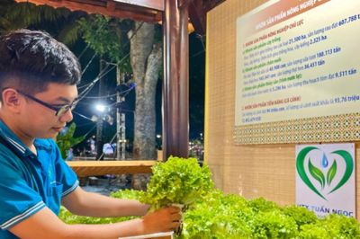 Đào tạo nhân sự HTX: Từ tập huấn đại trà đến đào tạo theo nhu cầu