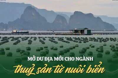 Mở dư địa mới cho ngành thuỷ sản từ nuôi biển