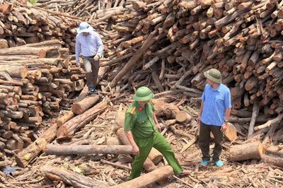 Khởi tố 9 cán bộ bảo vệ rừng nhận tiền doanh nghiệp để 'thông' chốt
