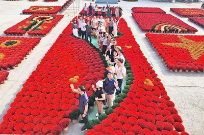 Du lịch di sản Thủ đô thu hút du khách
