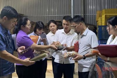Nâng cao giá trị và tính bền vững của các sản phẩm OCOP