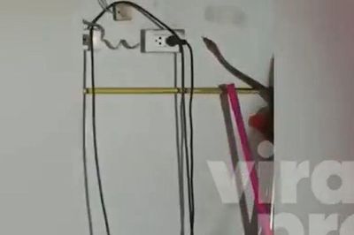Clip: Con trăn 'khủng' bất ngờ bò vào bếp, hành động sau đó của nó khiến chủ nhà thở phào sau giây phút đáng sợ