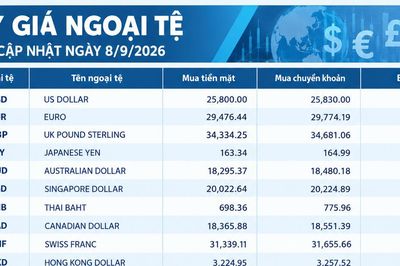 Tỷ giá ngoại tệ ngày 8/9: USD neo trên 26.000 đồng, EUR vượt 31.000 đồng