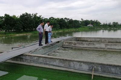 Hà Nội: Diện tích nuôi trồng thủy sản sau 8 tháng đạt 23.000ha