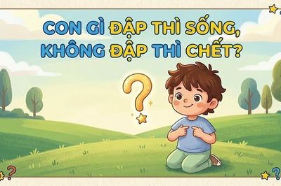 Giải mã câu đố mẹo gây sốt: Con gì đập thì sống, không đập thì chết?