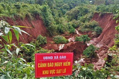 Sạt lở đồi sau mưa lớn vùi lấp nhiều rẫy cà phê, hoa màu ở Gia Lai