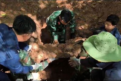 Tìm thấy hài cốt liệt sĩ cùng nhiều di vật trong rừng tràm Quảng Trị