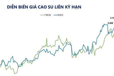 Dầu Brent và cao su tăng giá, MXV-Index lên 2.981 điểm