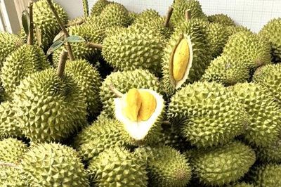 Xuất khẩu rau quả tăng trưởng mạnh, hướng tới mốc 10 tỷ USD