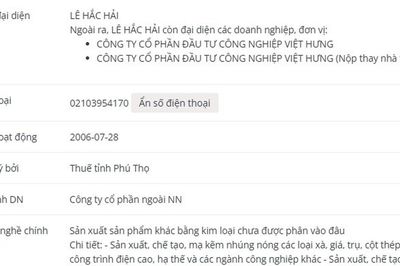 Công ty Cổ phần Việt Vương vi phạm chứng khoán
