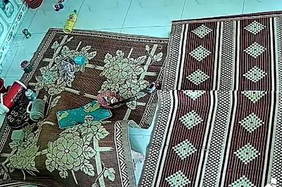 Thấy đàn ong ập vào nhà, người phụ nữ có pha 'núp lùm' cực nhanh