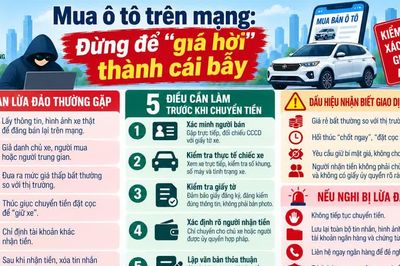 Mua ô tô trên mạng: Đừng để 'giá hời' thành cái bẫy