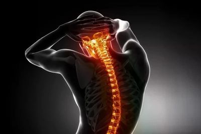 Phát hiện ra một tín hiệu miễn dịch giúp tái tạo tủy sống