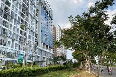 HoREA đề xuất luật hóa nhà ở thương mại 'vừa túi tiền'