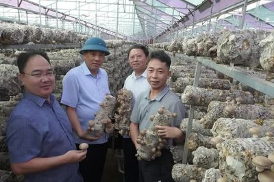 Lào Cai: Hơn 2.000 doanh nghiệp và đơn vị trực thuộc thành lập mới sau 8 tháng năm 2026