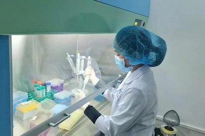 Công nghệ mới mở thêm cơ hội xác định danh tính hài cốt liệt sĩ
