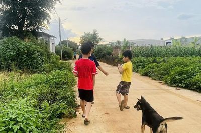 Gia Lai: Bé trai 6 tuổi tử vong sau 2 lần bị chó cắn
