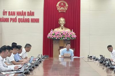 Tập trung tháo gỡ mặt bằng, bảo đảm tiến độ các dự án truyền tải điện tại Quảng Ninh